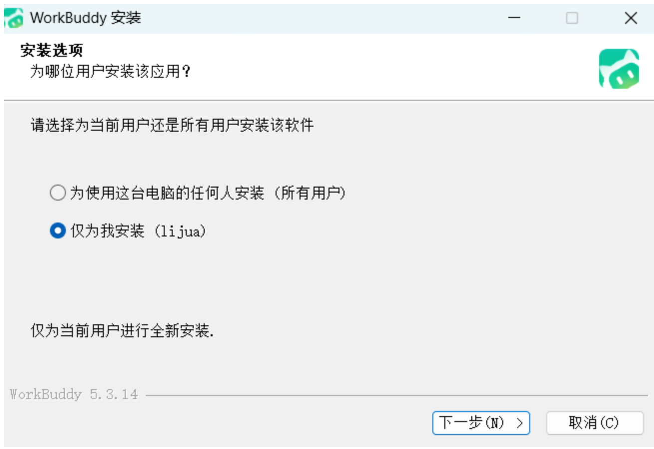Windows 安装向导中的仅为我安装选项